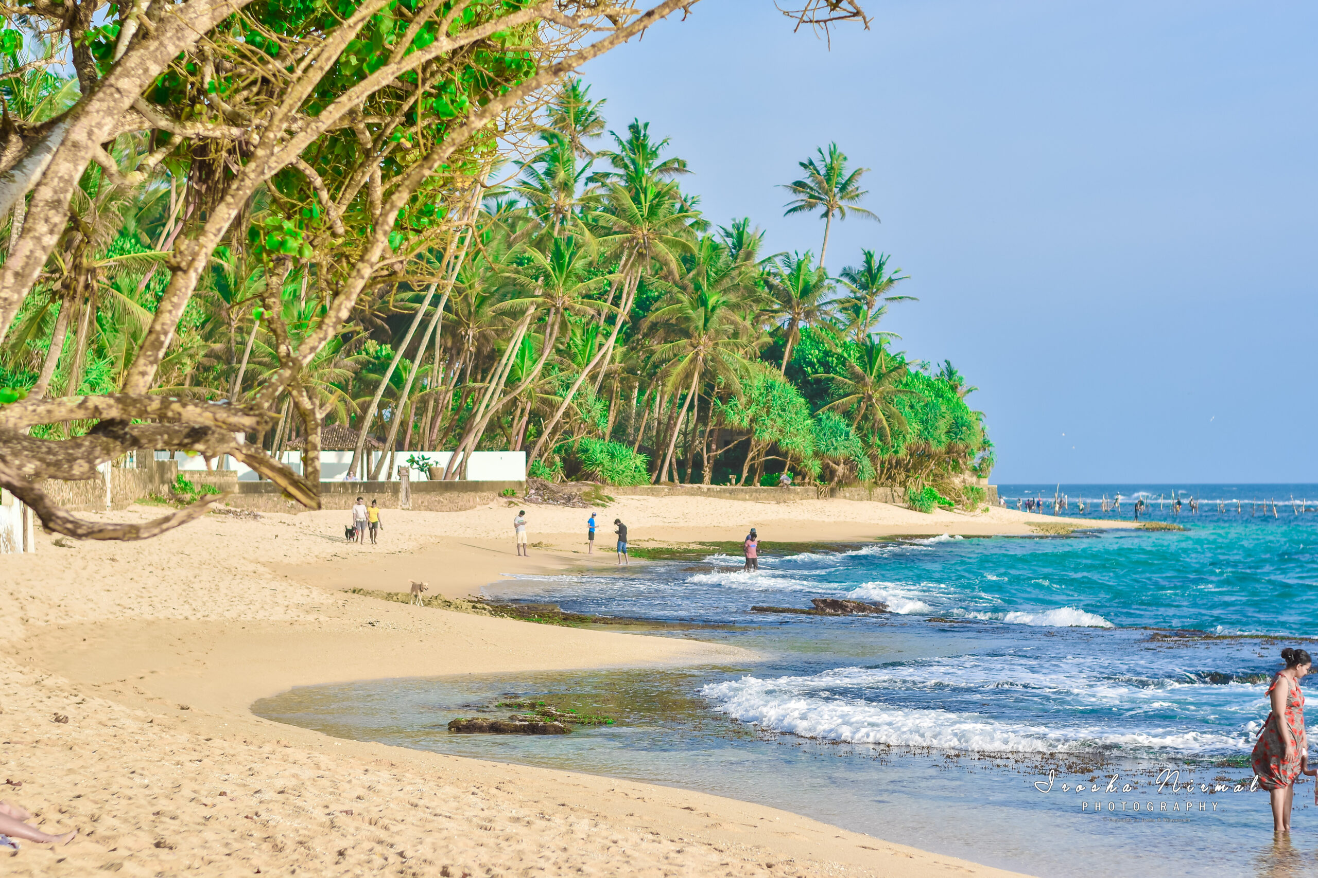 Sri Lanka Tours: Tailored Adventures for Every Traveler | Jetara Travels