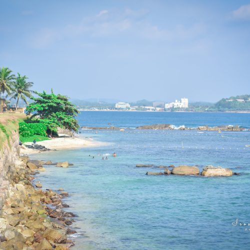 Sri Lanka Tours: Tailored Adventures for Every Traveler | Jetara Travels